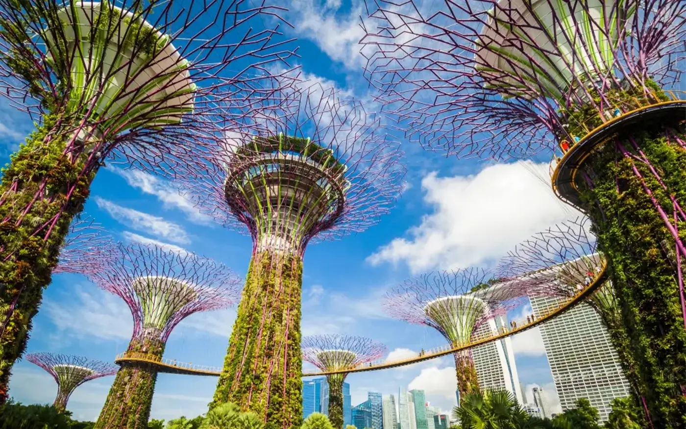 gardens by the bay